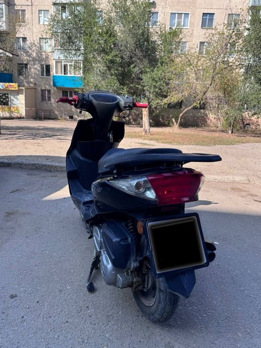 Продам мопед m10