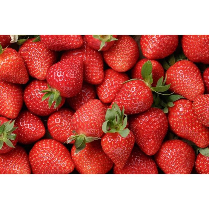 Stoloni capsuni remontant A plus Mur Zmeur Fragi Smochin Agris Albizia