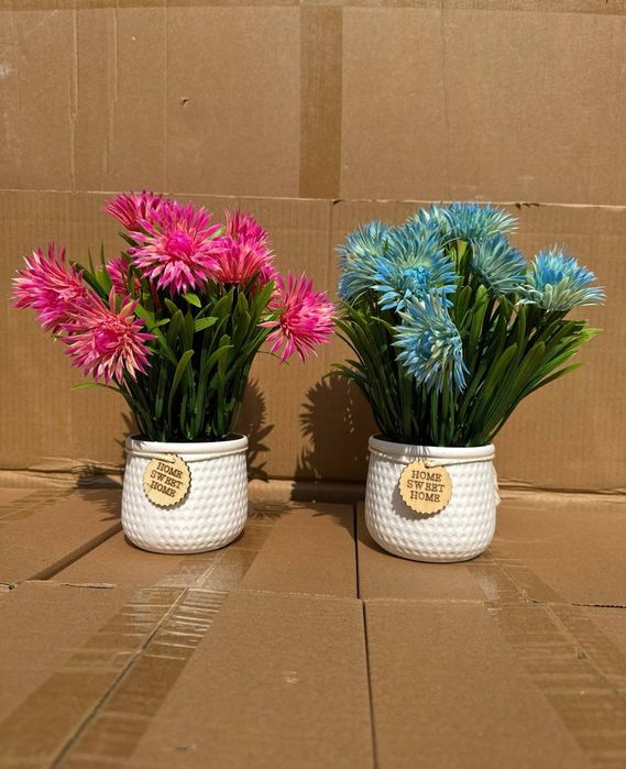 Тувак гуллар сотувда