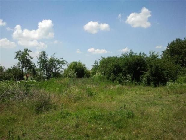 Продава се Парцел в Варна, Аспарухово - 1200 кв.м за 13 €/кв.м - Снимка #1