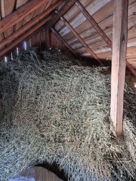 Vând lucernă și fân de gradina
