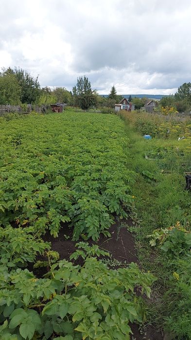 Продам дачный участок