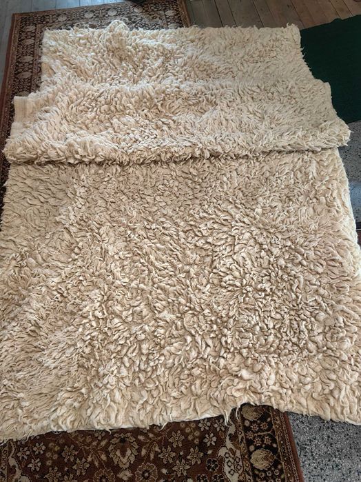 Родопски китеници