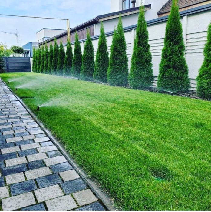 Газон,автополив,полив