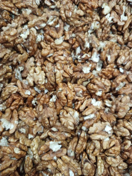 ГРАДИНСКИ орех 2025г