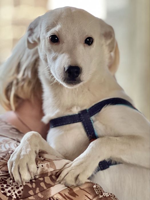 Принцесса Татка ждет своих мам-пап!