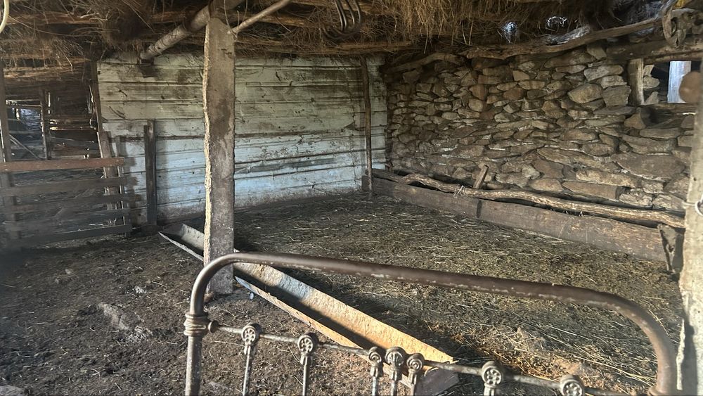 Продам крестьянское хозяйстсо