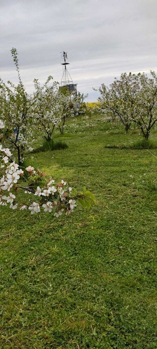 Vand 3 locuri de casa a cate 1500 mpatrati fiecare adica 15 arii