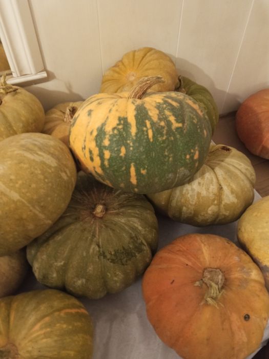 Продам вкусную тыкву