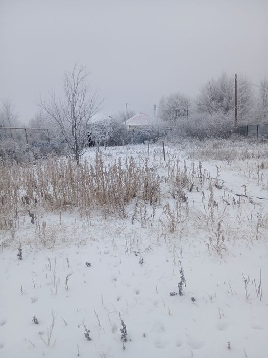 Дачный участок техник 82