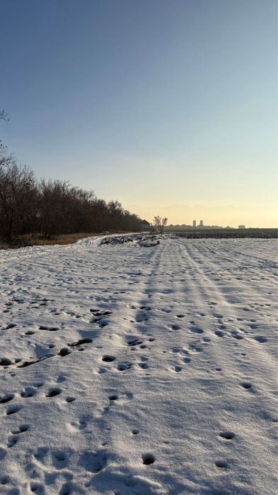 Участок жер сатам