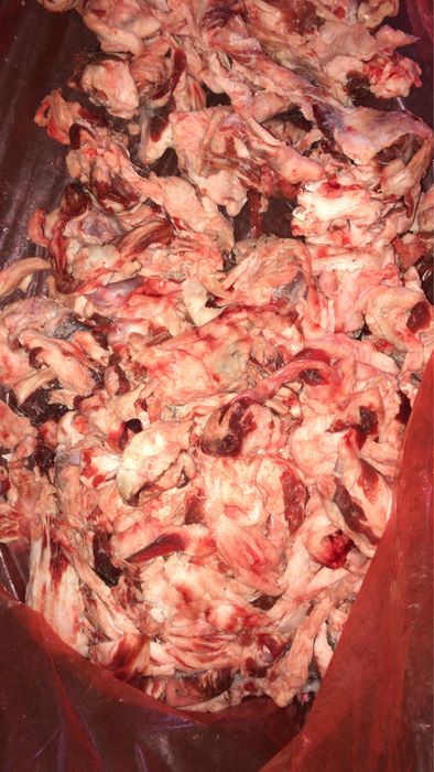 Мясо собакам и кошкам