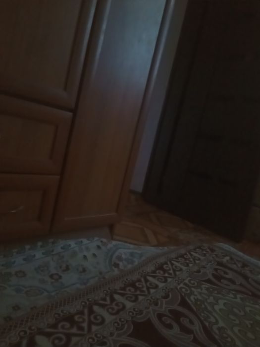 Тайлар жеребята биылғы сатылады