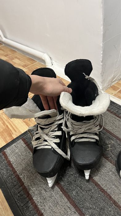 Коньки коньки коньки