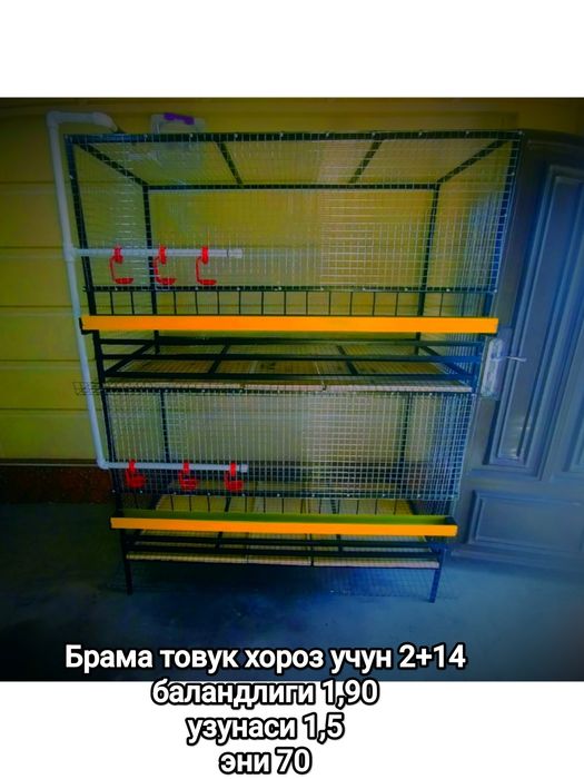 Брама товук катаги 2+14