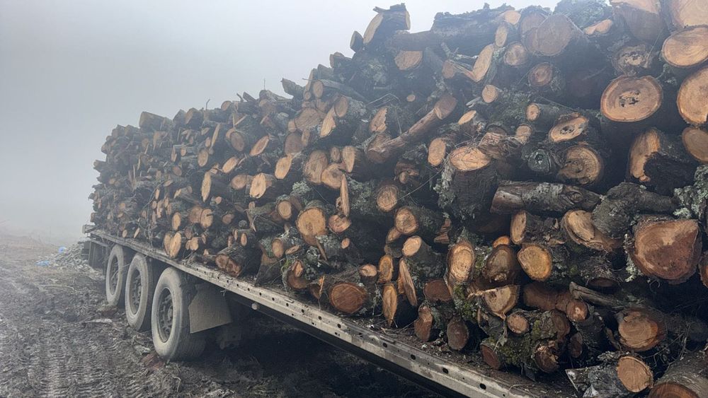 Черешови дърва за огрев