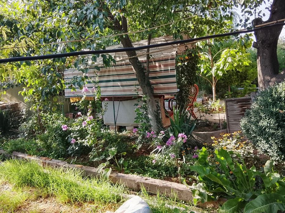 Дачний дала ховли 10сотих