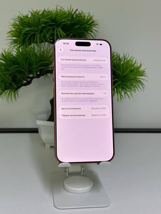 Iphone 17 pro max |256 gb| akb 100%|цп 110 | e-sim