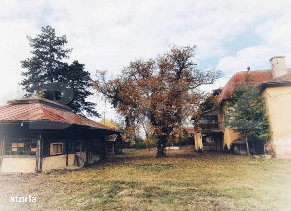 De vanzare conac boieresc, anul 1880, 3 ha teren, 1200 mp construiti,