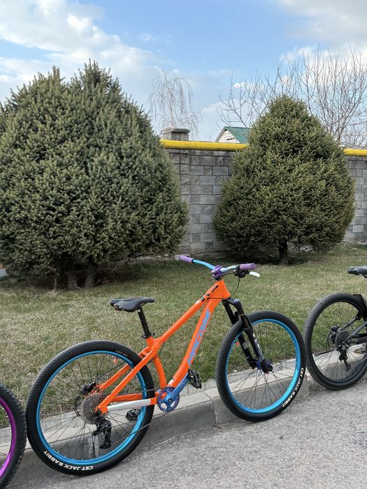 Велик Макодже танк 300