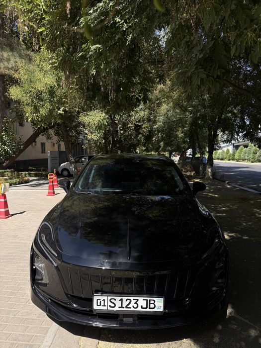 Hongqi eqm5 500km 2024