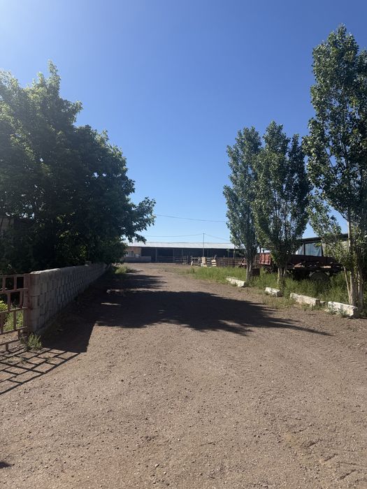 Продам фермерское хозяйство