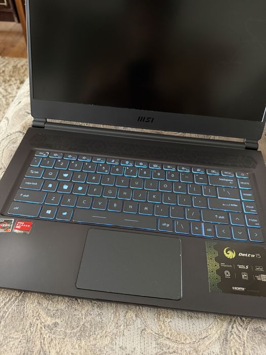 MSI Delta 15 Ryzen 7 5800H / RX 6700M / 32GB RAM – display defect
