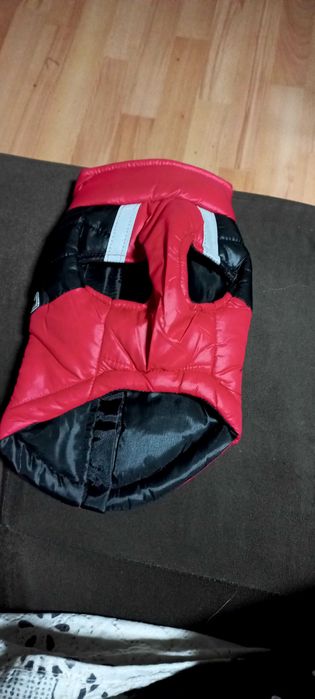 Якенца за кученца