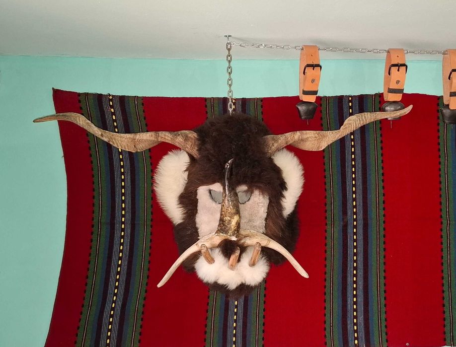 Сурвакарски, кукерски маски