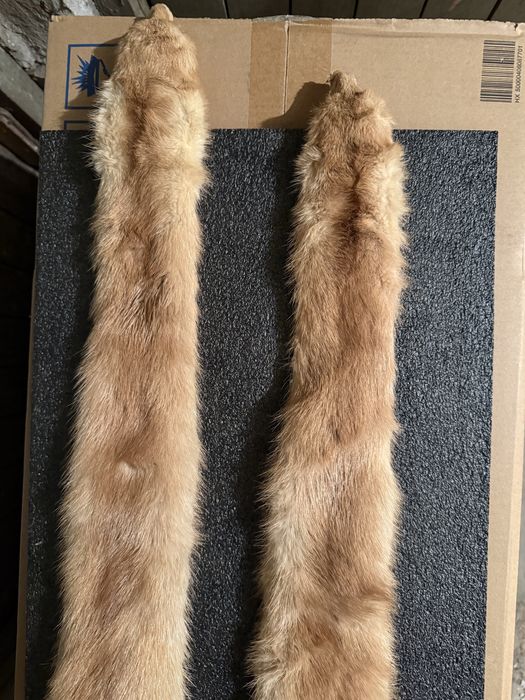 Продавам препарирана невестулка