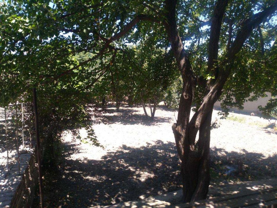 ,5 sotiqli hovli sotiladi #a236