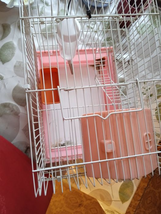 Продам клетка для хомяк