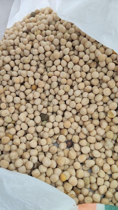 Арпа Бидай Сулы бар улке көлемде.