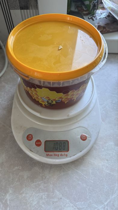Продам мед с домашней пасеки