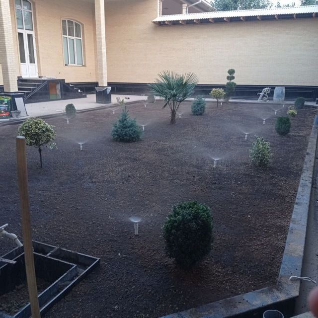 Savdonik gazon ekish archa stirichk qilish