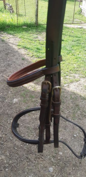 Vand capastru pentru ponei/cal
