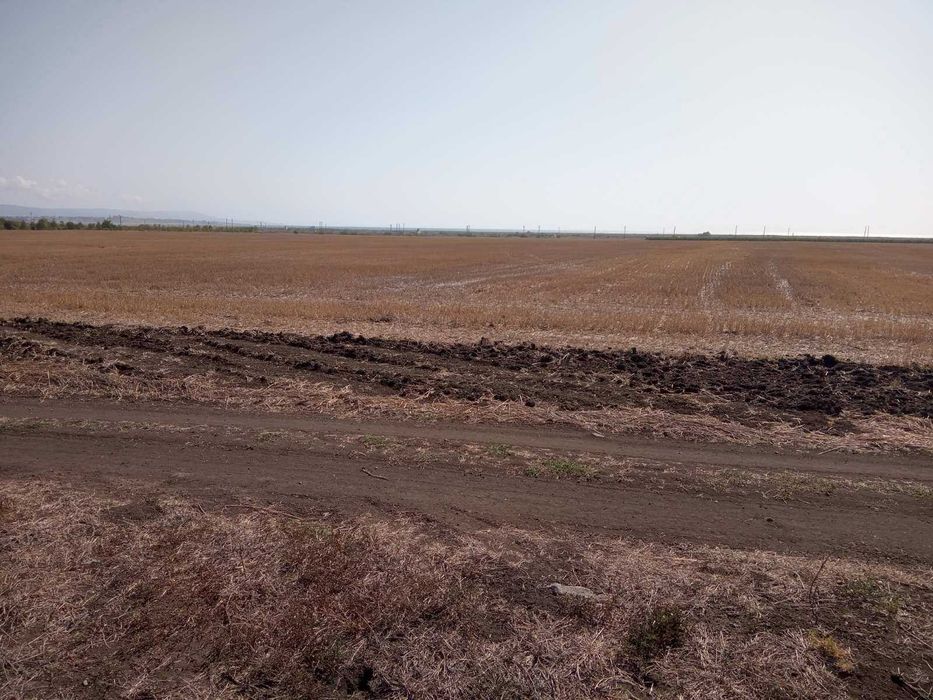 Продава се Парцел в Поморие - 8148 кв.м за 6 €/кв.м - Снимка #10