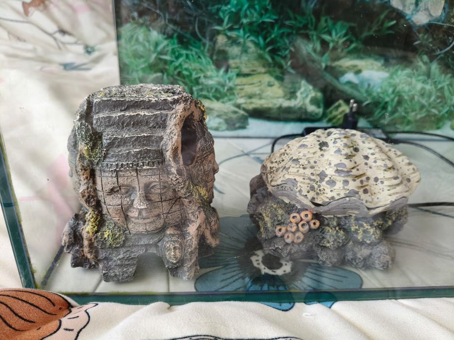 Acvariu 80L + accesorii