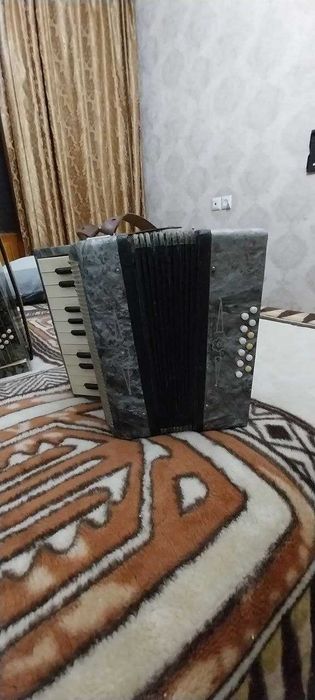 Детский  Аккордеон Малыш