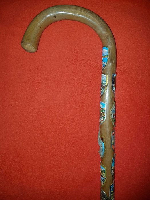 Baston, carje, carji lemn sau telescopice, bete treeking drumetie