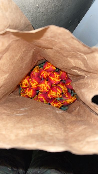 Тюльпаны по 750 тг доставка имеется