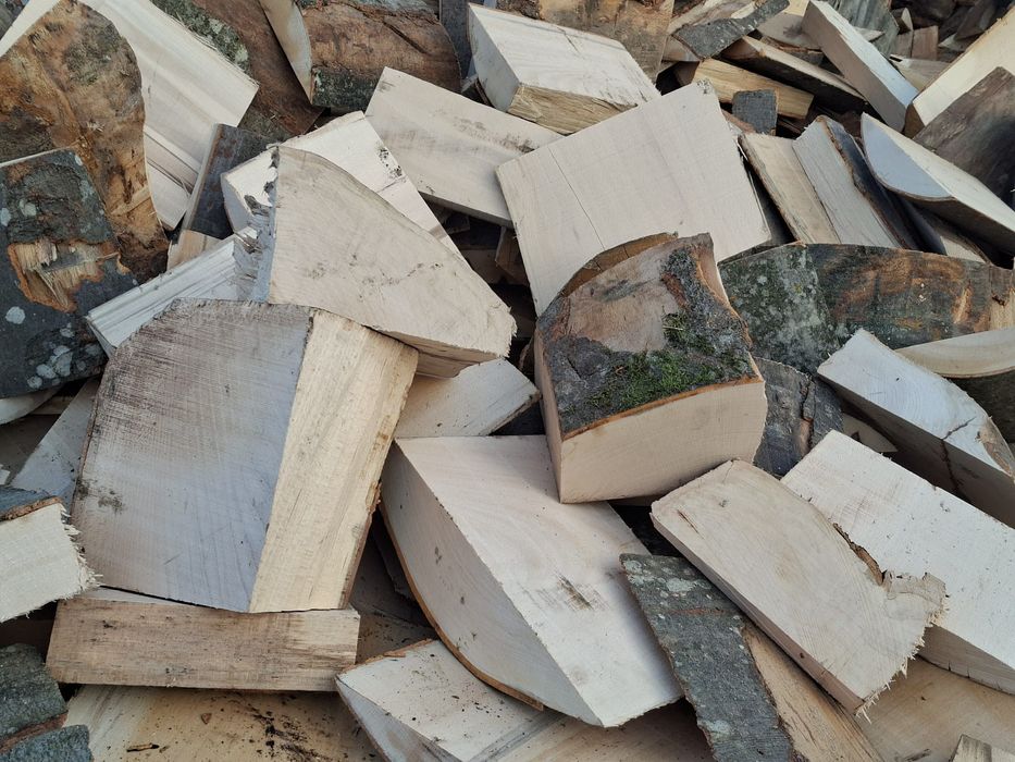 Lemne și deșeuri pentru foc