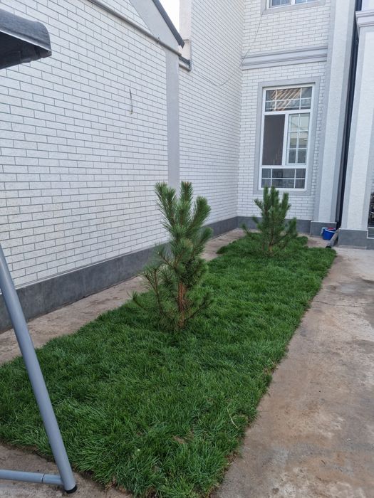 Продам свой новый дом. Евроремонт. М.Улугбекском районе Янги Узбекисто