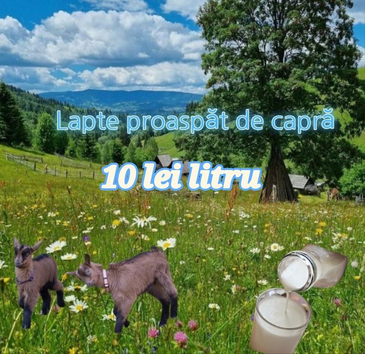Vând lapte proaspăt de capra