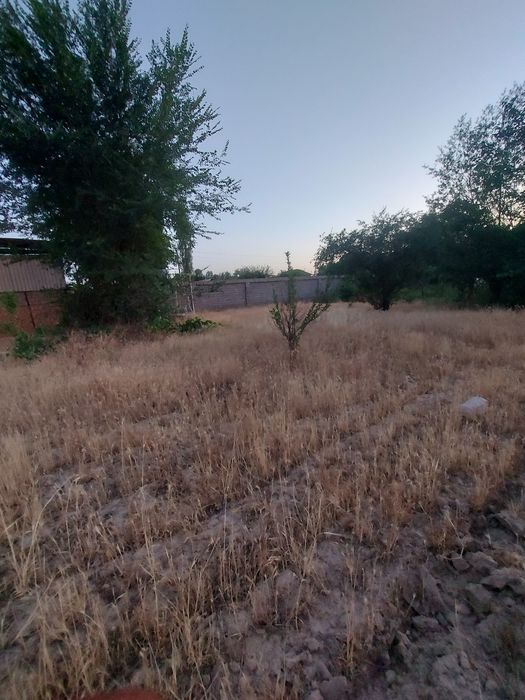 Dacha sotiladi. 6 sotix