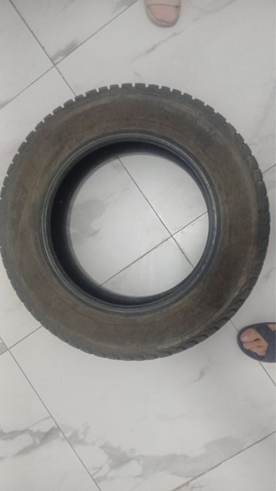 Продам шины зимние
