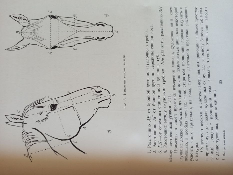 Как рисовать лошадь - Как да нарисуваме кон