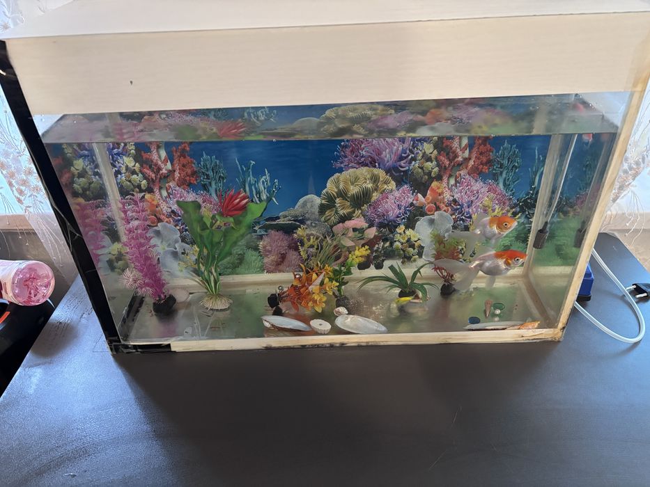 Аквариум с рыбками