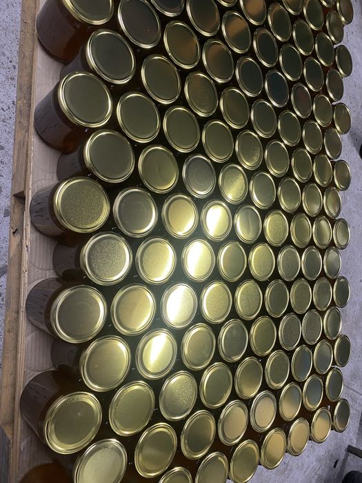 Продавам БИО пчелен мед в буркани 950гр на ЕДРО