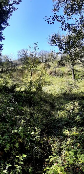 Продава се Парцел в с. Златуша, Област София-област - 725 кв.м за 17 €/кв.м - Снимка #4